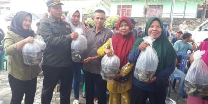 811000869187-768x383-1