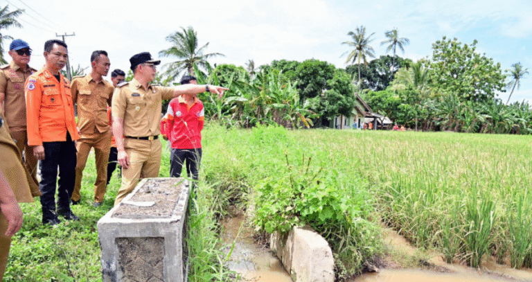 Screenshot 2025-06-23 110754