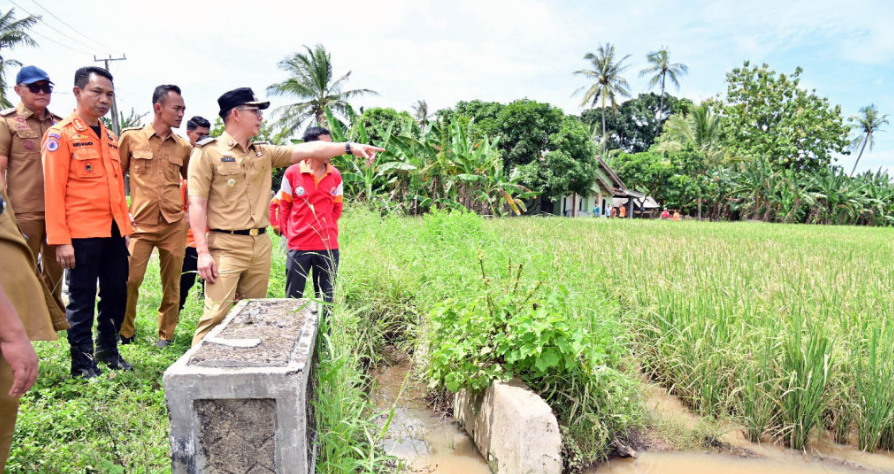 Screenshot 2025-06-23 110754